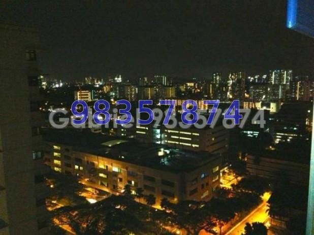 Blk 109B Depot Road (Bukit Merah), HDB 4 Rooms #64423172